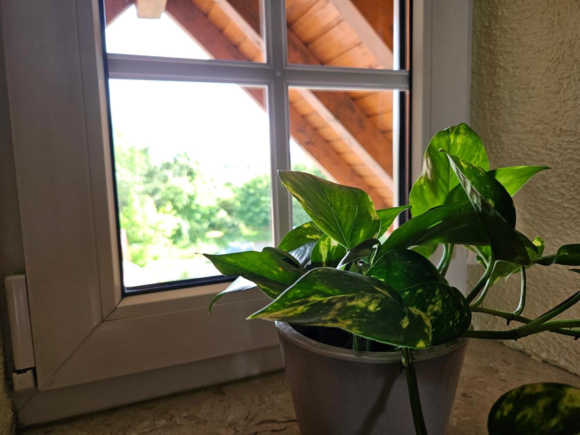 Service Appartement Weigl Nittenau Esterno foto